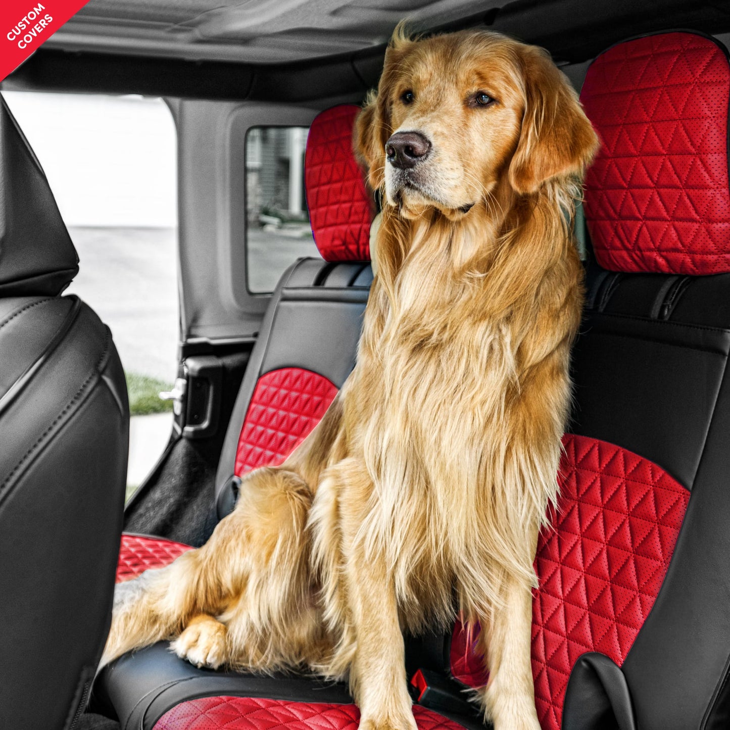 pets - Black & Red
