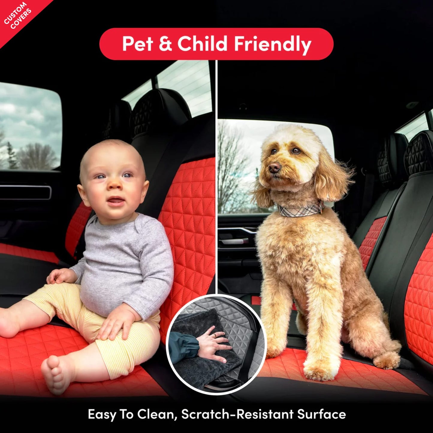 pet - All